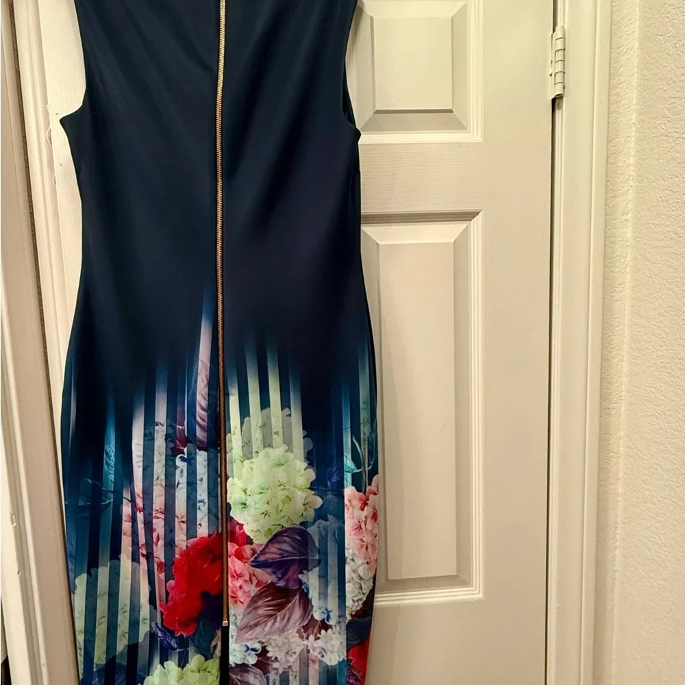 Ted Baker size 4 (US 8-10) Rimena Vespera Hydrangea midi pencil dress. - Picture 5 of 9